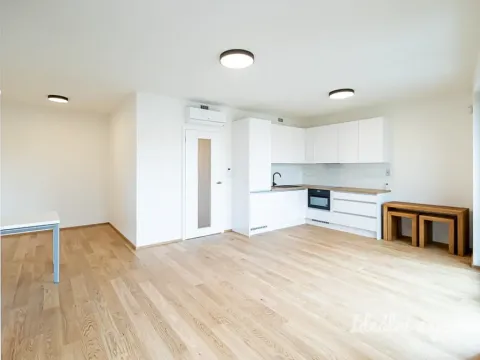Pronájem bytu 1+kk, Praha - Žižkov, Basilejské náměstí, 42 m2