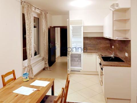 Pronájem bytu 2+kk, Praha, Svitákova, 59 m2