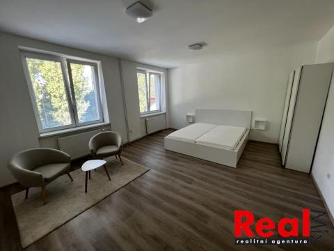 Pronájem bytu 1+1, Brno, Klíny, 37 m2