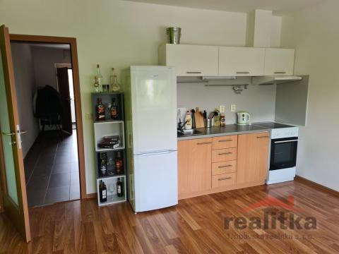 Pronájem bytu 1+kk, Opava - Kateřinky, Hálkova, 33 m2