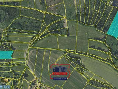 Prodej lesa, Tehov, 10542 m2