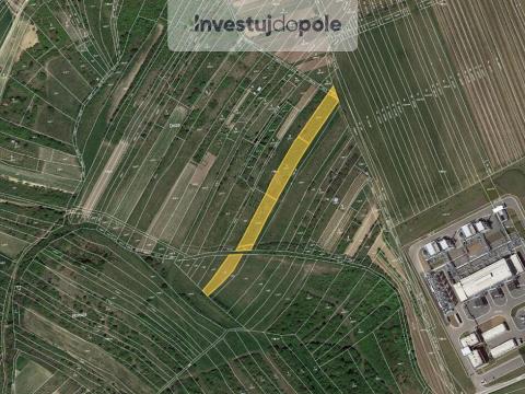 Prodej pole, Dambořice, 4046 m2