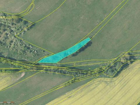 Prodej louky, Broumov - Velká Ves, třída Osvobození, 2199 m2