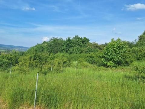 Prodej pozemku pro bydlení, Modlany - Drahkov, 1200 m2