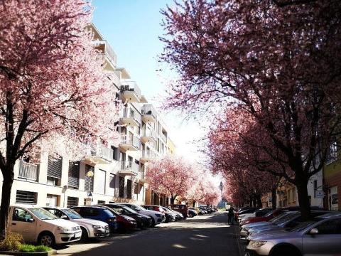 Prodej bytu 3+kk, Zlín, Sadová, 173 m2