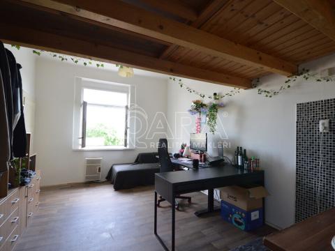 Pronájem bytu 1+kk, Praha - Žižkov, Hartigova, 25 m2