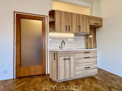 Pronájem bytu 1+kk, Brno, Kotlářská, 25 m2