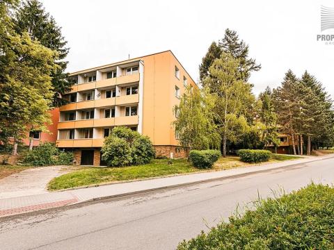 Prodej bytu 2+1, Brno, Luční, 54 m2