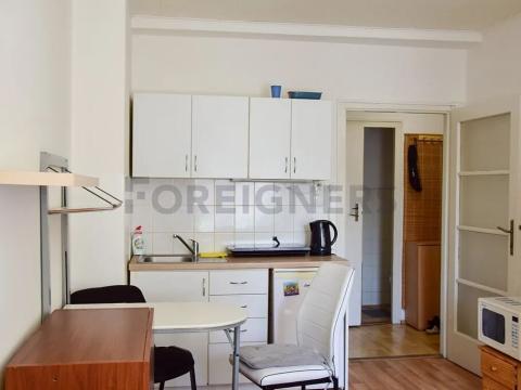 Pronájem bytu 1+kk, Brno, Mezírka, 25 m2