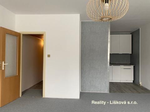 Prodej bytu 1+kk, Ústí nad Labem - Krásné Březno, Žežická, 30 m2