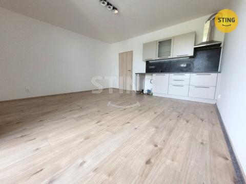 Pronájem bytu 1+kk, Ostrava, Sokolovská, 30 m2