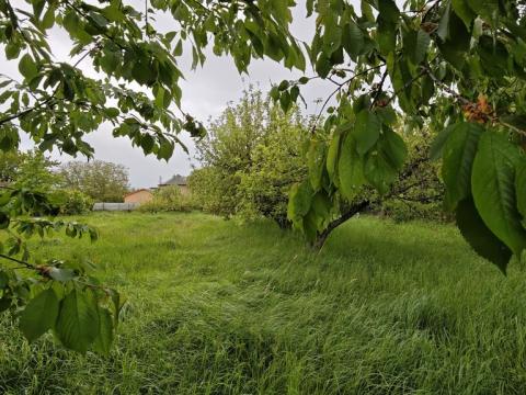 Prodej komerčního pozemku, Praha - Ruzyně, 2398 m2