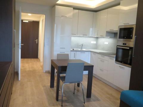 Pronájem bytu 1+kk, Praha - Stodůlky, Mukařovského, 30 m2