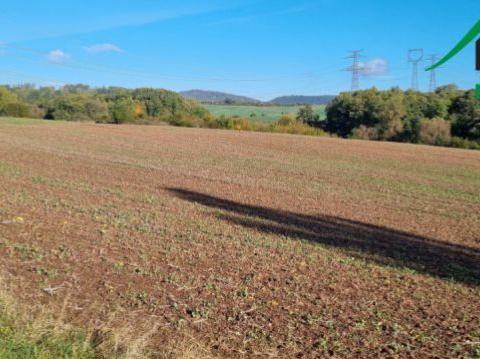 Prodej pole, Lubenec - Libkovice, 1070000 m2