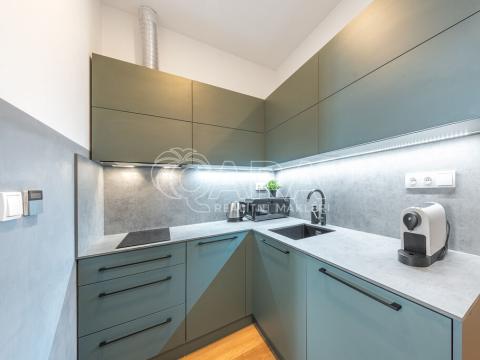 Pronájem bytu 1+kk, Praha - Žižkov, Milíčova, 33 m2