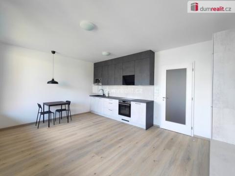 Pronájem bytu 1+kk, Praha - Žižkov, Olgy Havlové, 39 m2