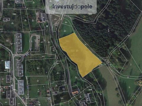 Prodej louky, Rokytnice v Orlických horách, 5741 m2