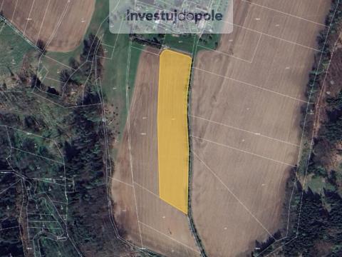 Prodej pole, Troskovice - Křenovy, 12975 m2