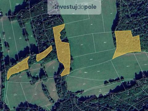 Prodej lesa, Valašská Polanka, 15391 m2