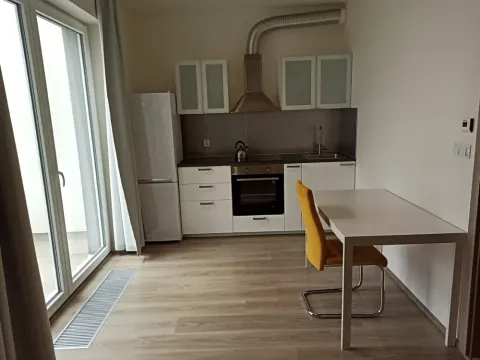 Pronájem bytu 1+kk, Praha - Zličín, Sazovická, 35 m2