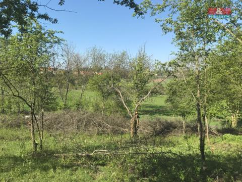 Prodej zahrady, Postoloprty - Mradice, 400 m2