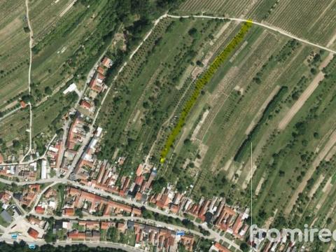 Prodej pozemku, Blatnice pod Svatým Antonínkem, 2450 m2