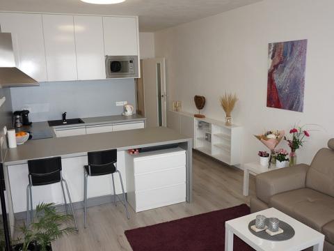 Pronájem bytu 1+kk, Brno, Řípská, 40 m2