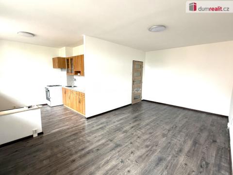 Pronájem bytu 2+1, Bílina - Pražské Předměstí, Fügnerova, 50 m2