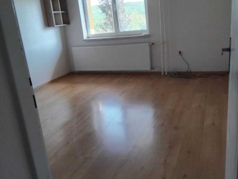 Pronájem bytu 1+kk, Dolní Lhota, 18 m2