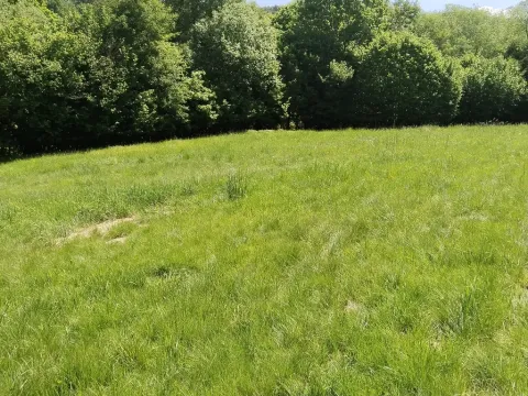 Prodej pozemku pro bydlení, Dlouhá Ves, 1876 m2