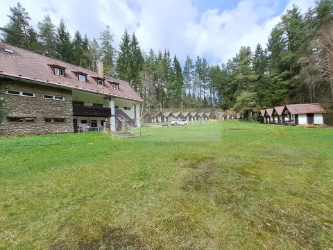 Prodej ubytování, Zbytiny - Blažejovice, 453 m2