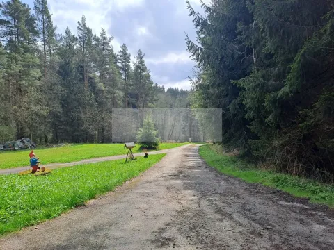 Prodej ubytování, Zbytiny - Blažejovice, 453 m2