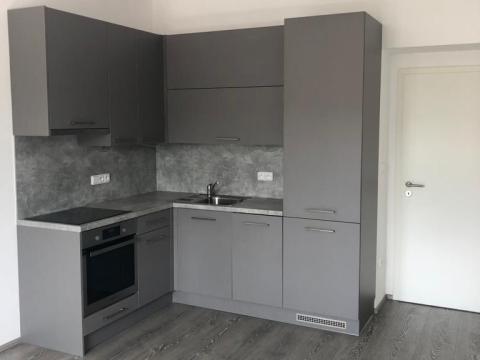Pronájem bytu 2+kk, Praha - Vršovice, Omská, 55 m2