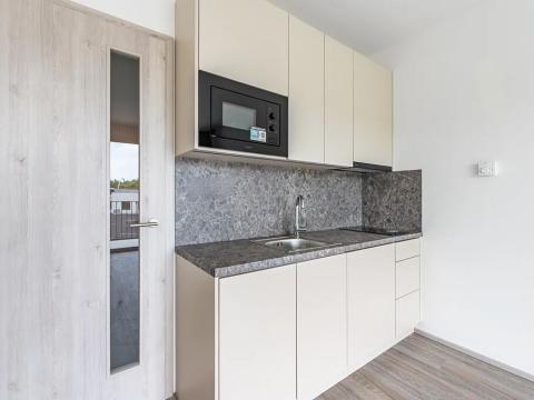 Pronájem bytu 1+kk, Praha, Na Zlíchově, 26 m2