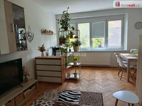 Pronájem bytu 2+1, Praha - Podolí, Dvorecká, 53 m2
