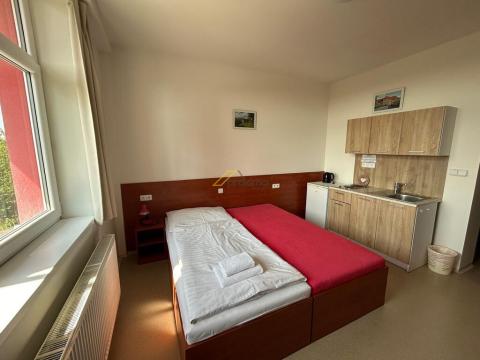 Pronájem bytu 1+kk, České Budějovice - České Budějovice 3, Jiráskovo nábř., 29 m2