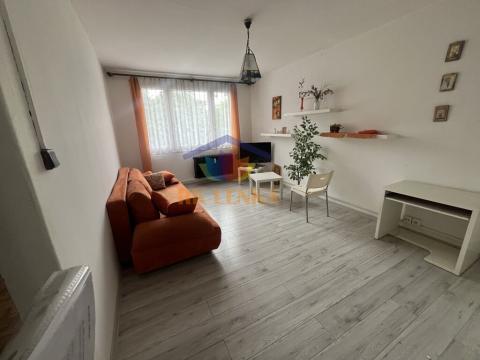 Pronájem bytu 1+1, Frýdek-Místek - Místek, 28. října, 40 m2