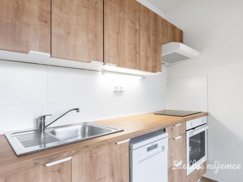 Pronájem bytu 1+1, Praha, Cíglerova, 44 m2