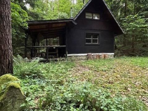 Prodej chaty, Krňany - Teletín, Teletín, 44 m2