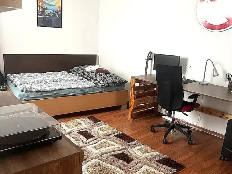 Pronájem bytu 1+1, Brno, Zelný trh, 40 m2