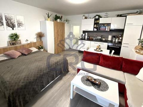 Pronájem bytu 1+kk, Slavkov u Brna, 39 m2