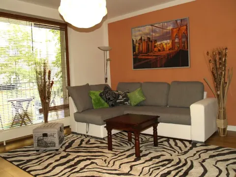 Pronájem bytu 1+kk, Praha - Žižkov, Kališnická, 39 m2