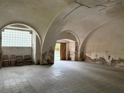 Pronájem obchodního prostoru, Planá, Zámecká, 250 m2