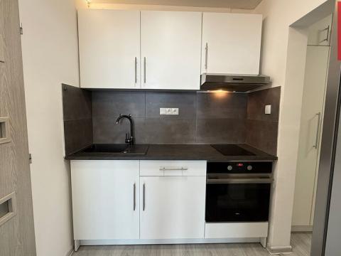 Pronájem bytu 1+1, Opava, Skřivánčí, 34 m2
