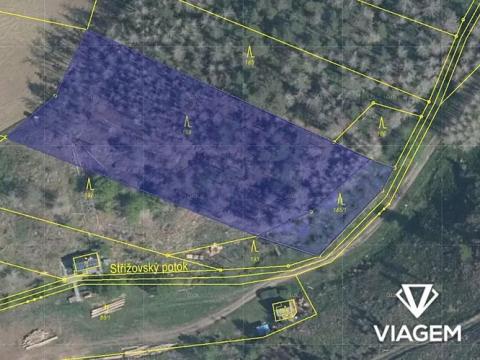Prodej lesa, Slavičky, 5350 m2