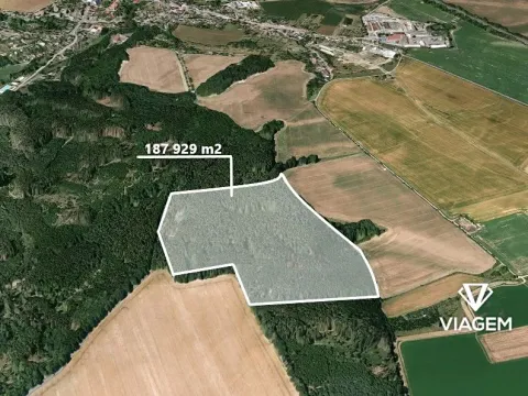 Prodej podílu lesa, Palonín, 31838 m2