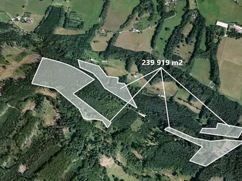 Prodej podílu lesa, Smilovice, 2789 m2
