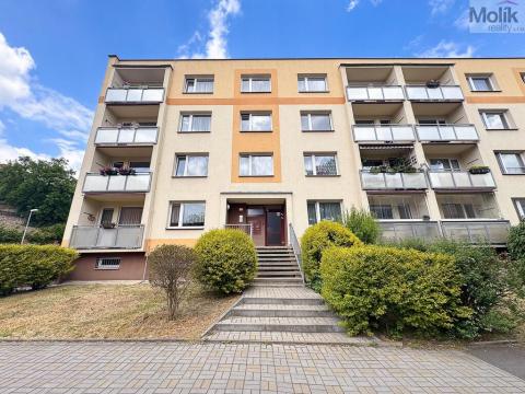 Prodej bytu 2+1, Teplice, Palackého, 64 m2