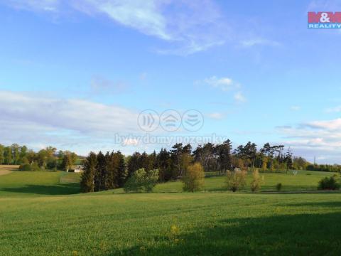 Prodej lesa, Unhošť, 3111 m2