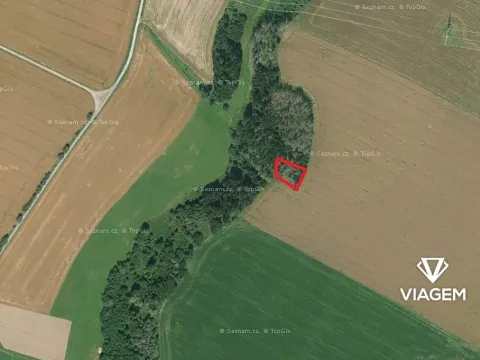 Prodej podílu lesa, Věžnice, 366 m2